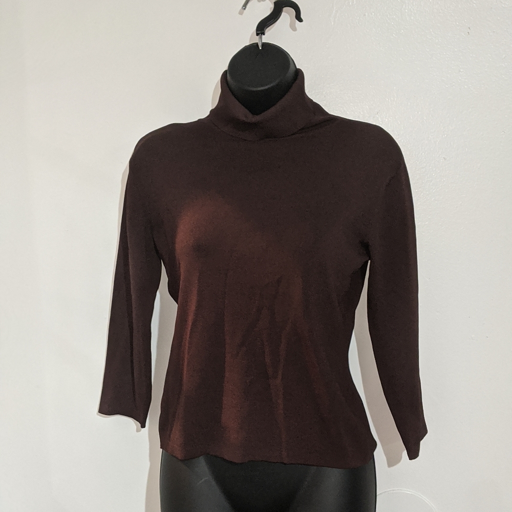 Joseph A. Turtleneck Sweater in Brown 🤎